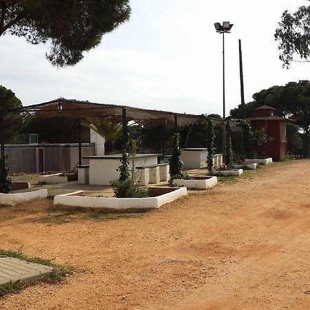 Albergue Rural Territorio Del Gato El Rompido Ngoại thất bức ảnh