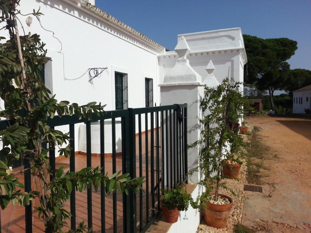 Albergue Rural Territorio Del Gato El Rompido Ngoại thất bức ảnh