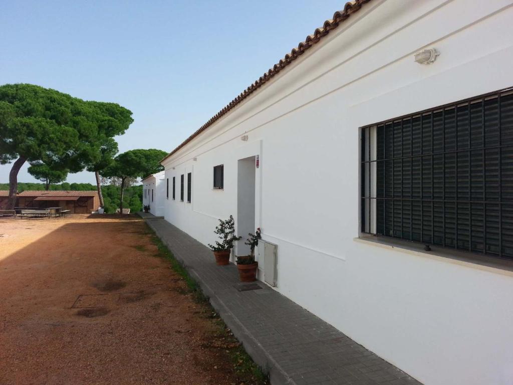 Albergue Rural Territorio Del Gato El Rompido Ngoại thất bức ảnh